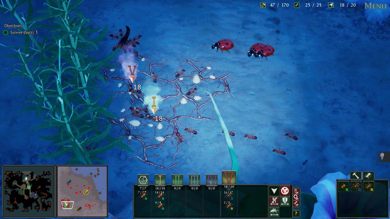 Ants on a dirt ground as ladybirds approach from the north.